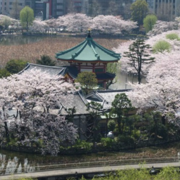 2023 marks the 150th Anniversary of the Establishment of Public Parks in Japan