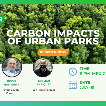 Carbon Impacts of Urban Parks