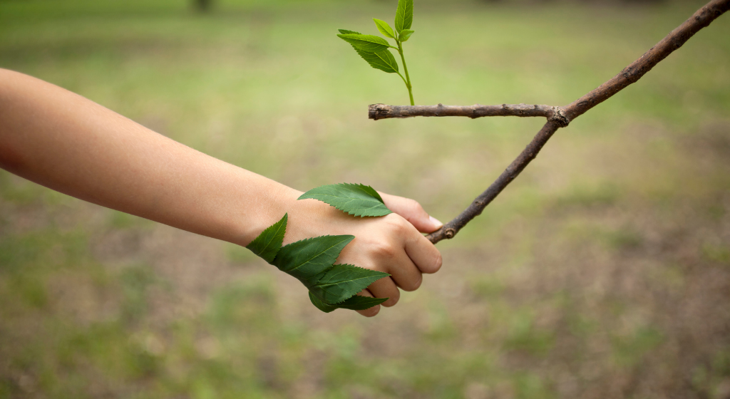 Nature is Good Medicine