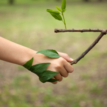 Nature is Good Medicine