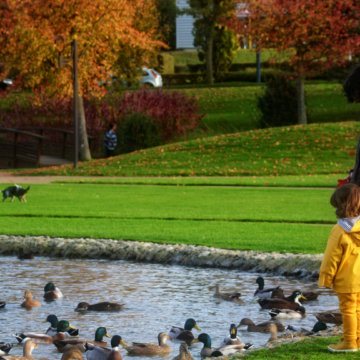 World Urban Parks Board Vacancies & Nominations
