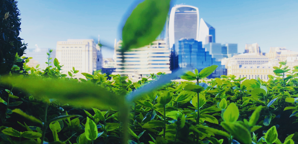 On the Road to Future Green City