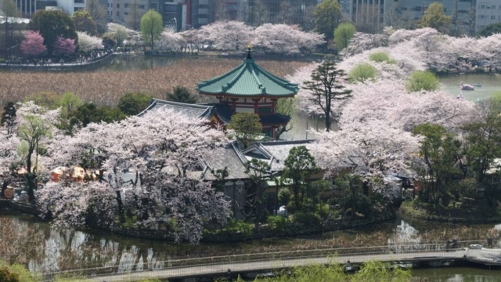 2023 marks the 150th Anniversary of the Establishment of Public Parks in Japan 2023 marks the 150th Anniversary of the Establishment of Public Parks in Japan