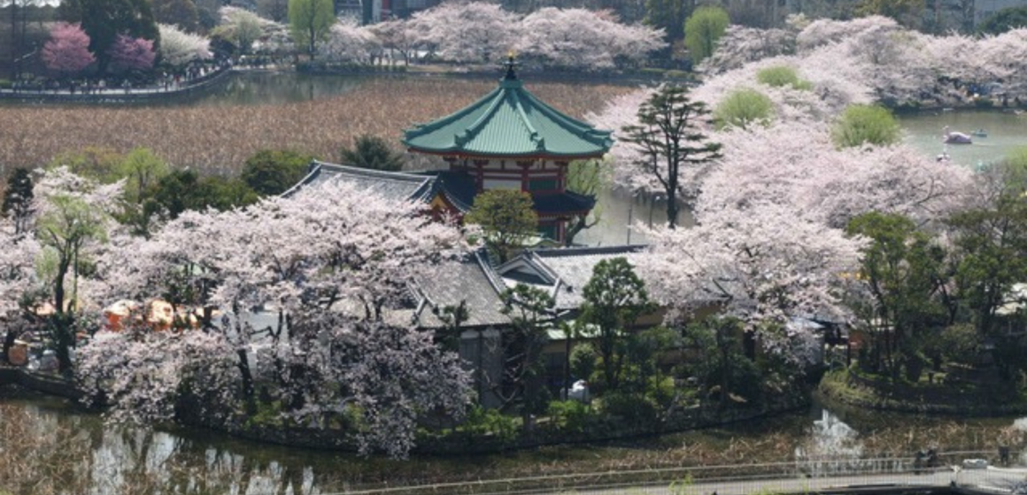 2023 marks the 150th Anniversary of the Establishment of Public Parks in Japan