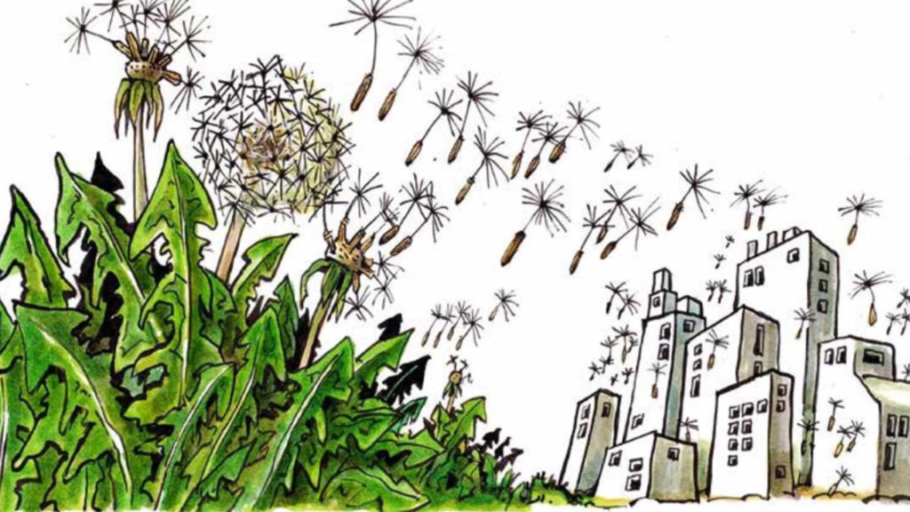 The Symbiotic City The Symbiotic City