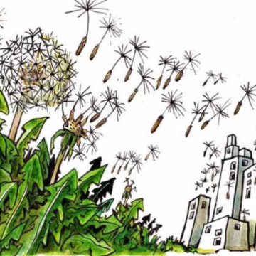 The Symbiotic City