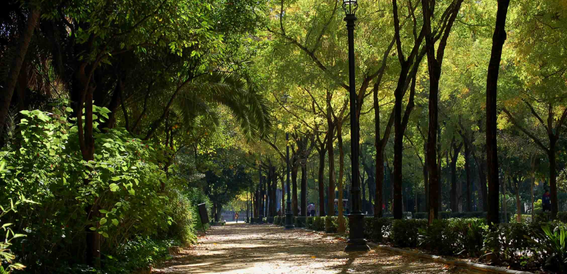 How cell phones can help us make the most of urban green space How cell phones can help us make the most of urban green space