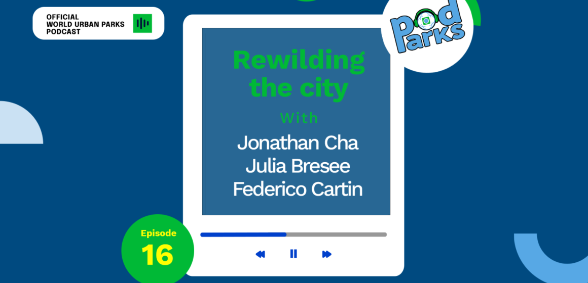 Rewilding the city