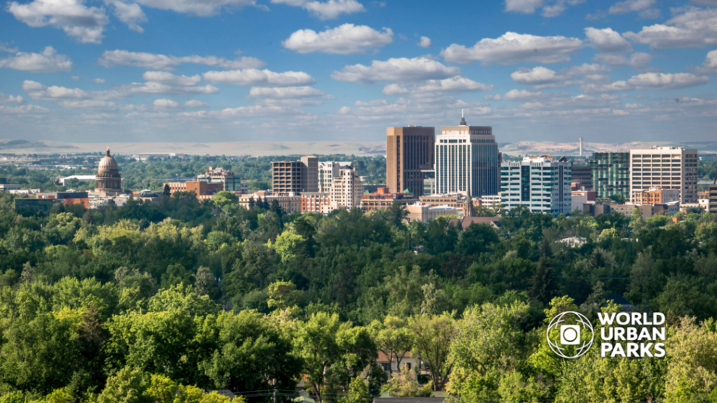 Planting more trees in cities could cut deaths from summer heat, says study Planting more trees in cities could cut deaths from summer heat, says study