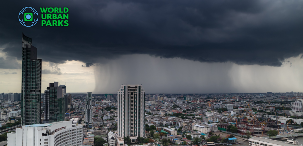What are “Sponge Cities,” and How Can They Prevent Floods?