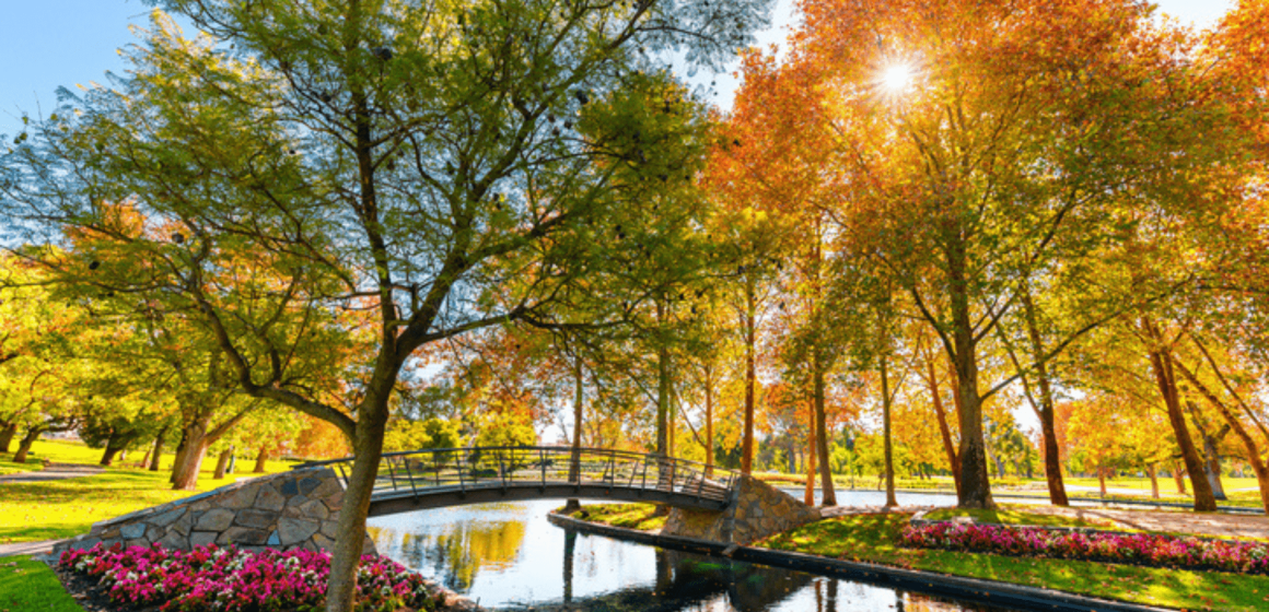 Why urban green spaces are as important as natural reserves