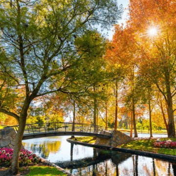 Why urban green spaces are as important as natural reserves
